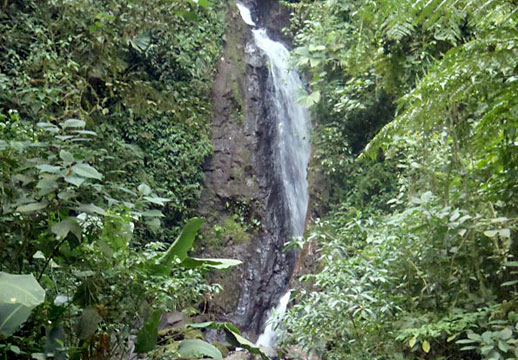 buena-vista-miravalles-waterfall-518