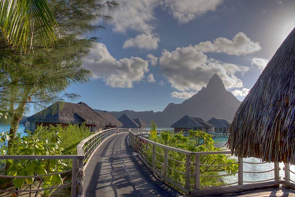 12510509_664525080316740_8822154740401817867_n